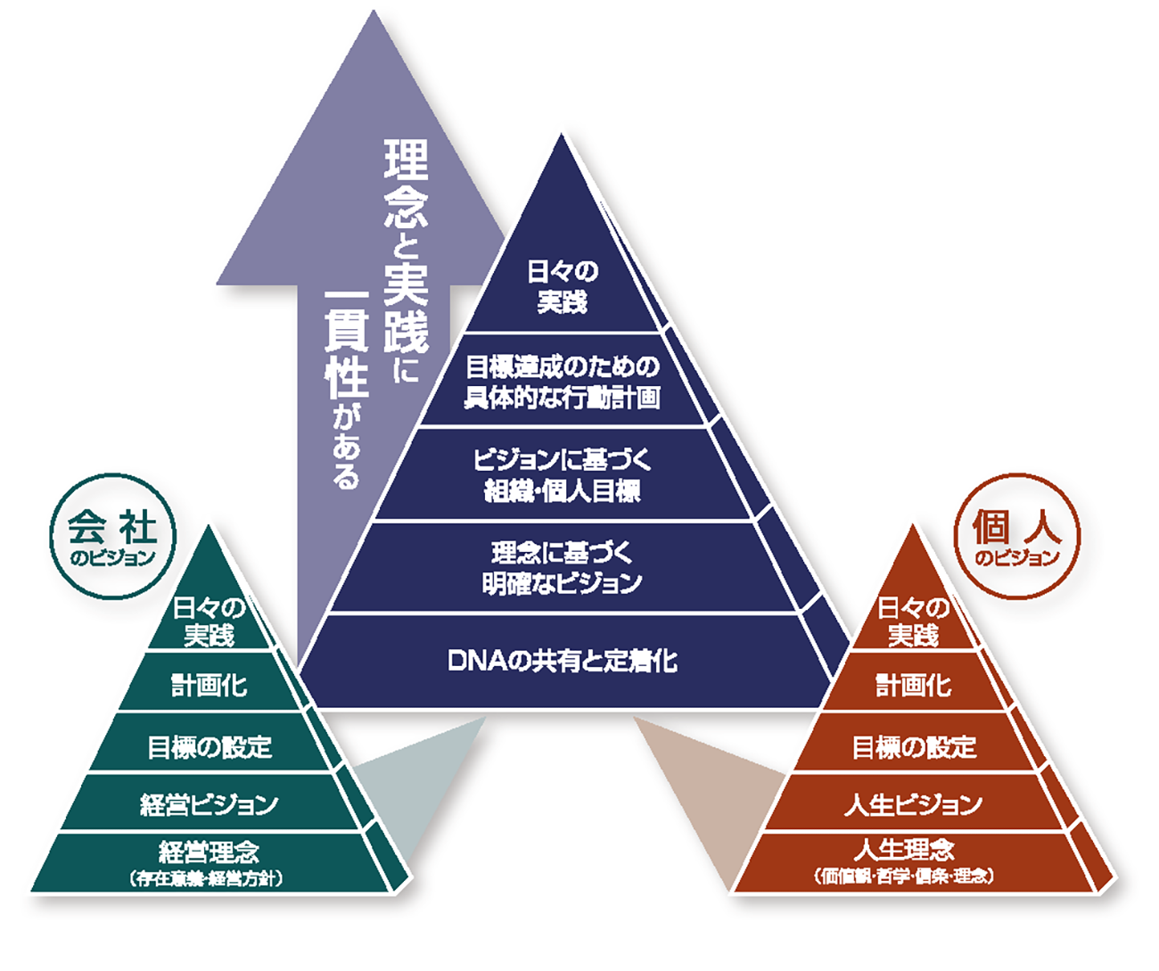 简述新发展理念的具体内容-金财在线