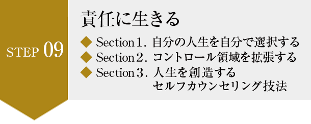 アチーブメント　マスタープログラム