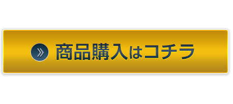 【未使用品】プロフェッショナル・セールス・マネージャー・プログラム