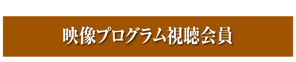 映像視聴